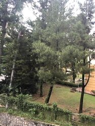 Cavenagh Gardens (D9), Apartment #504613671